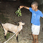 Thumb for Animals and Children